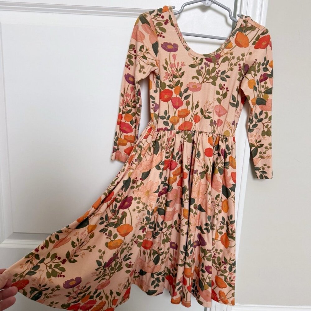 Alice + Ames Ballet Dress in Botany Print 7 years EUC